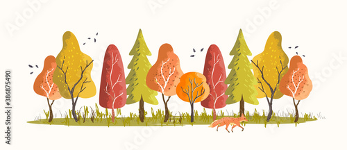 Forest woodland in autumn with colourful trees and leaves. Vector illustration.