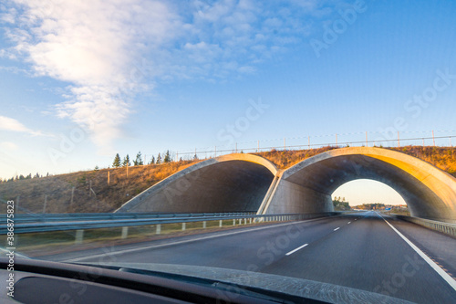 Animal overpass on highways of Finland. Bridge for passage of animals on way . Arch over road. © lara-sh