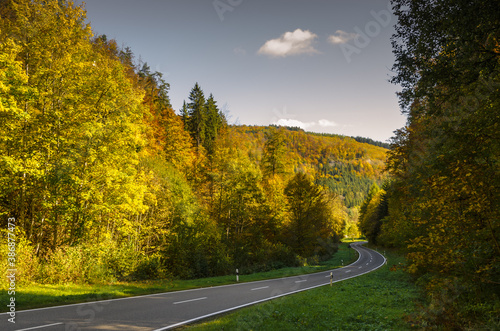 Straße durch herbstlichen Wald im Donautal, Baden-Württemberg, Deutschland