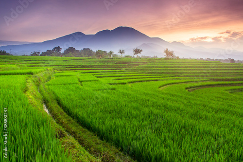 the beauty of the rice terraces in the morning with verdant rice fields and mountains