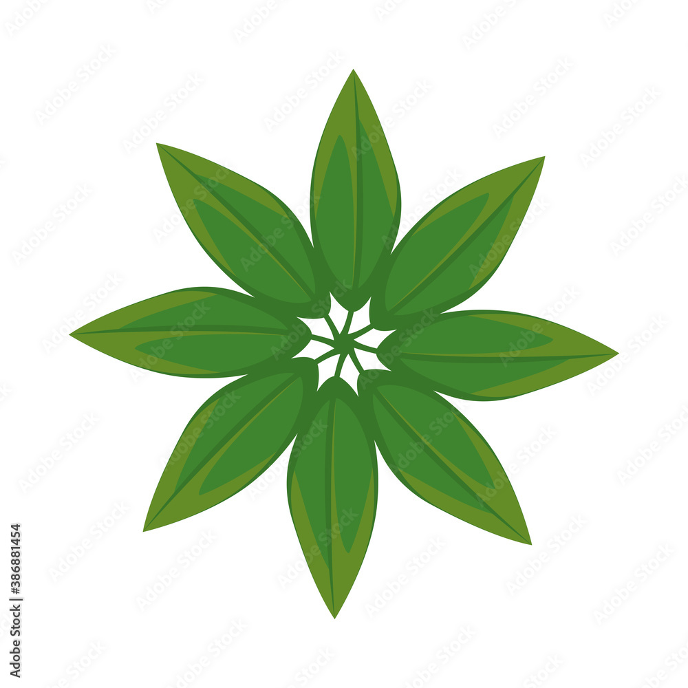 leafs plants nature circular decoration leafs plants nature circular decoration