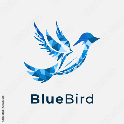 Modern Bluebird Logo Vector 