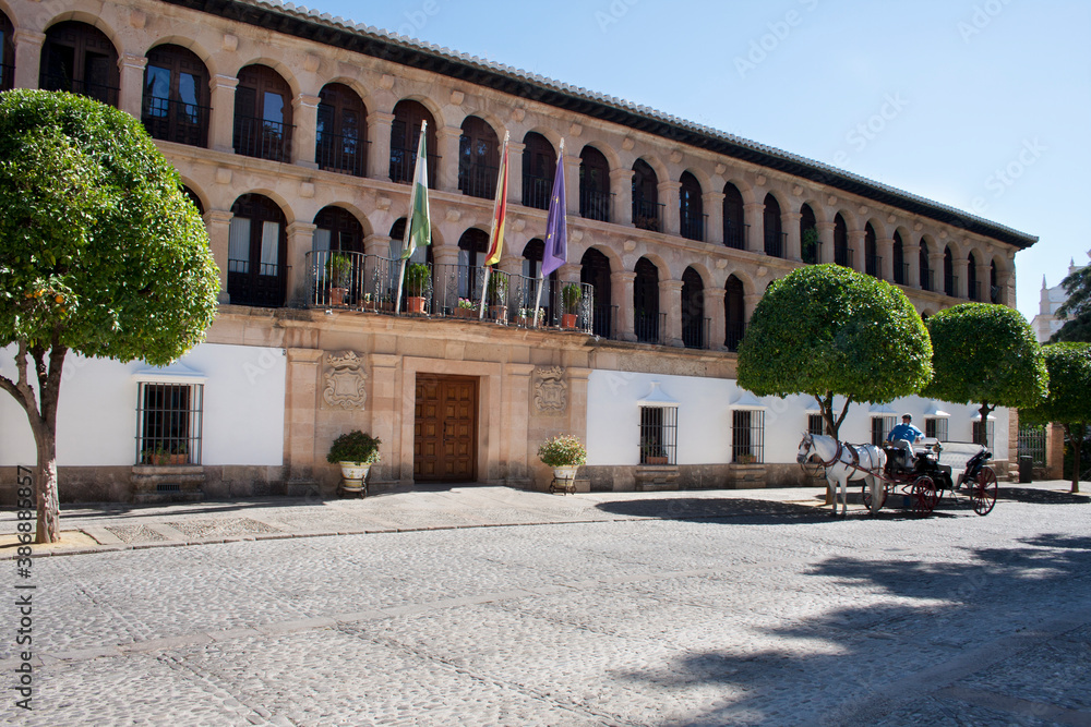 Ronda town hall and horse carriage