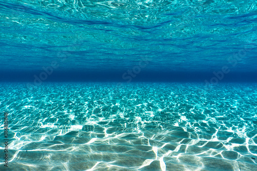 Fototapeta Naklejka Na Ścianę i Meble -  underwater ohotography