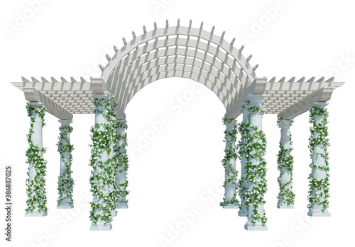 3d Render Ivy Plants Isolated  on white