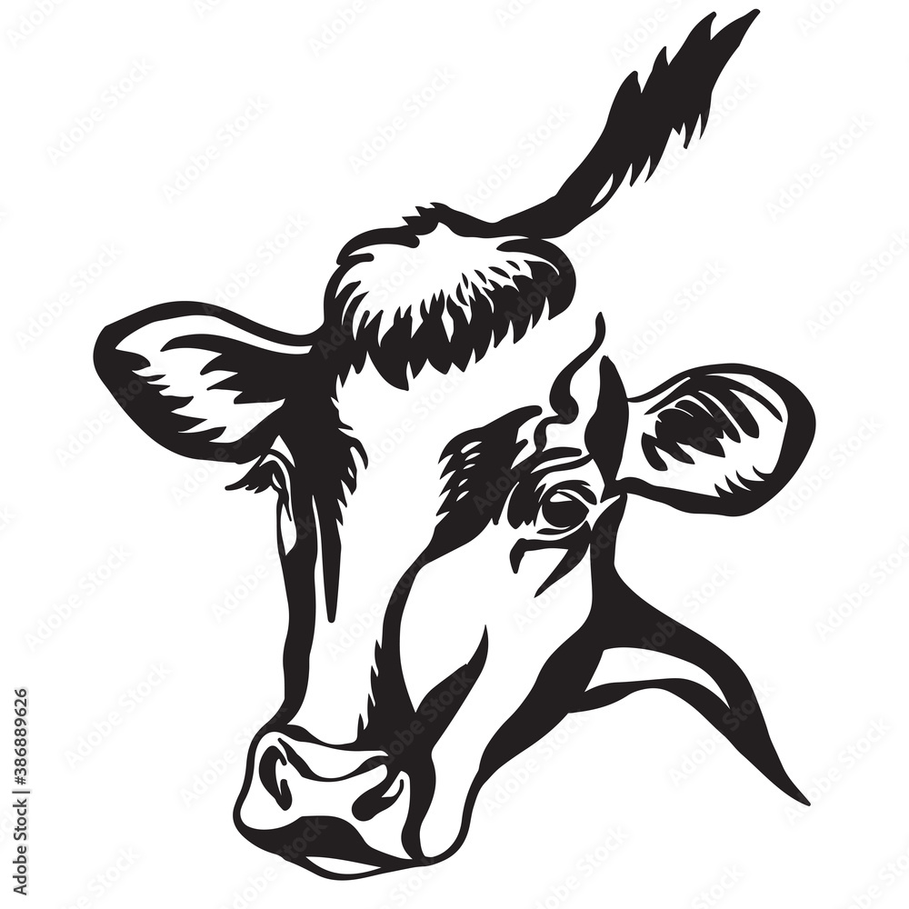 Obraz premium Contour portrait of the black bull vector