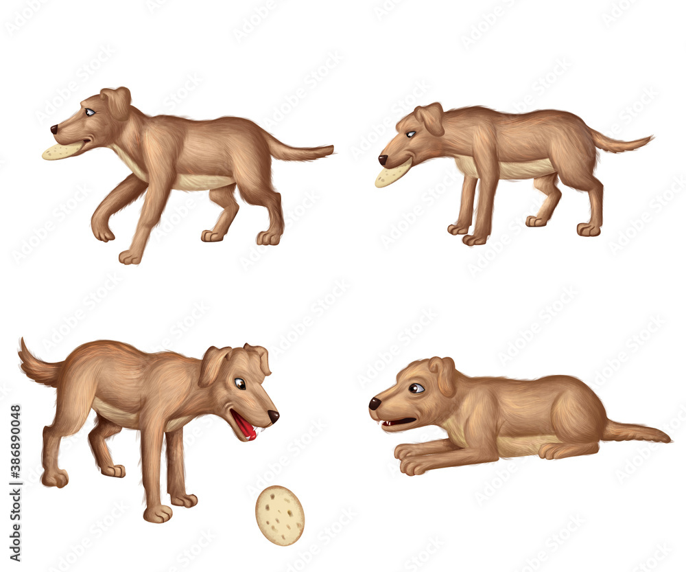 Naklejka premium dogs
