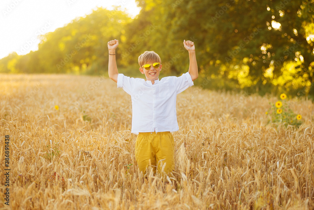 Happy boy wearing sunglasses is making the strong and winner gesture standing in a field Happy boy wearing sunglasses is making the strong and winner gesture standing in a field