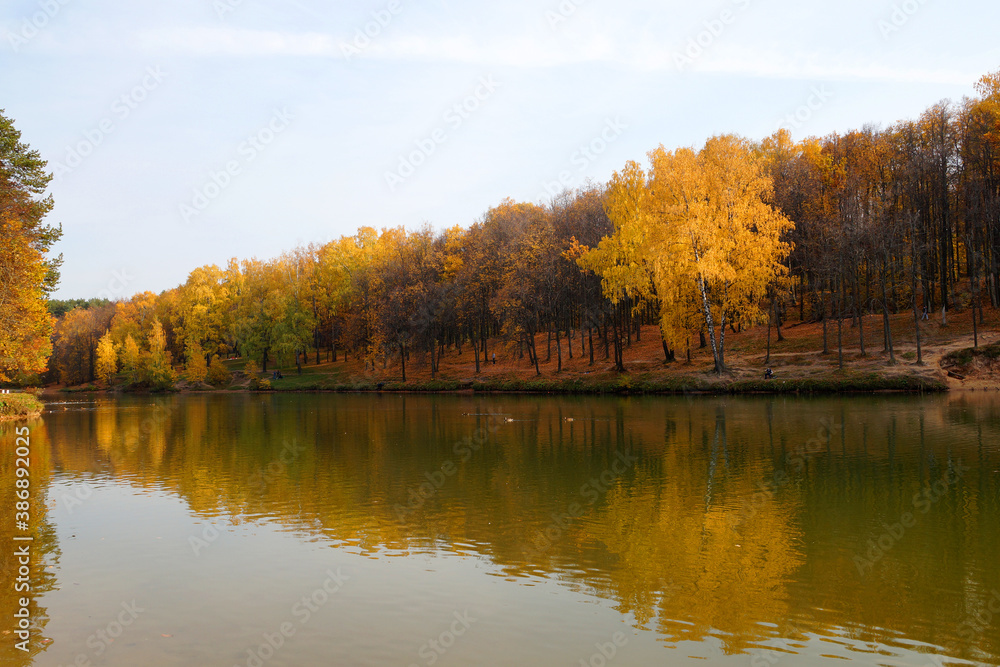 Fototapeta premium autumn forest is reflected in the river water