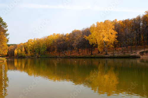 autumn forest is reflected in the river water