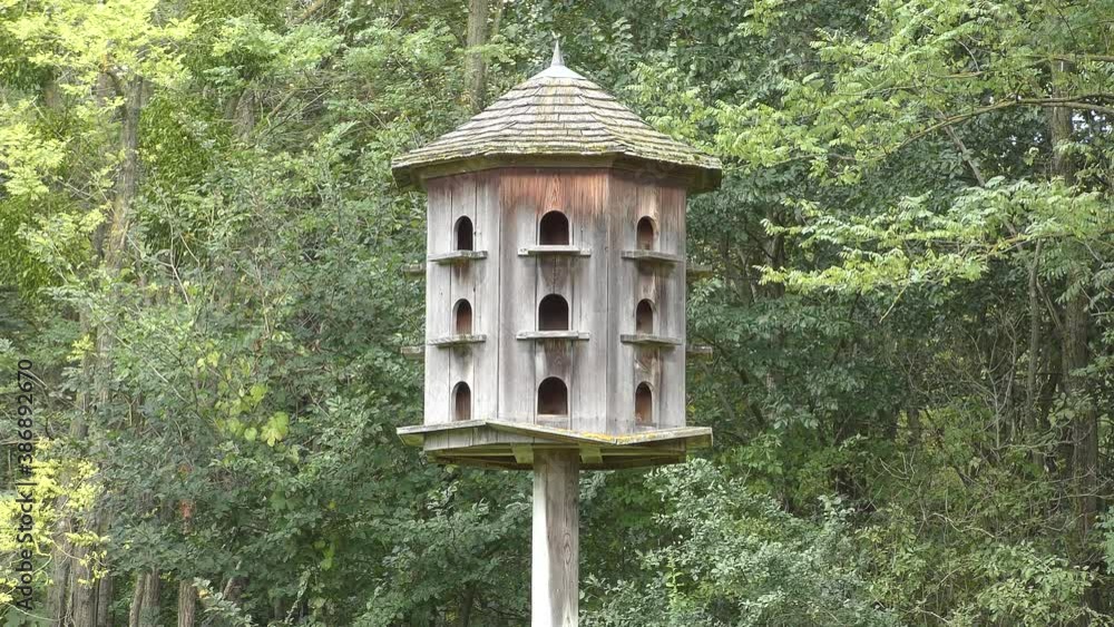 The wooden dovecote in the royal Garden of Castle Niederweiden in Lower Austria The wooden dovecote in the royal Garden of Castle Niederweiden in Lower Austria