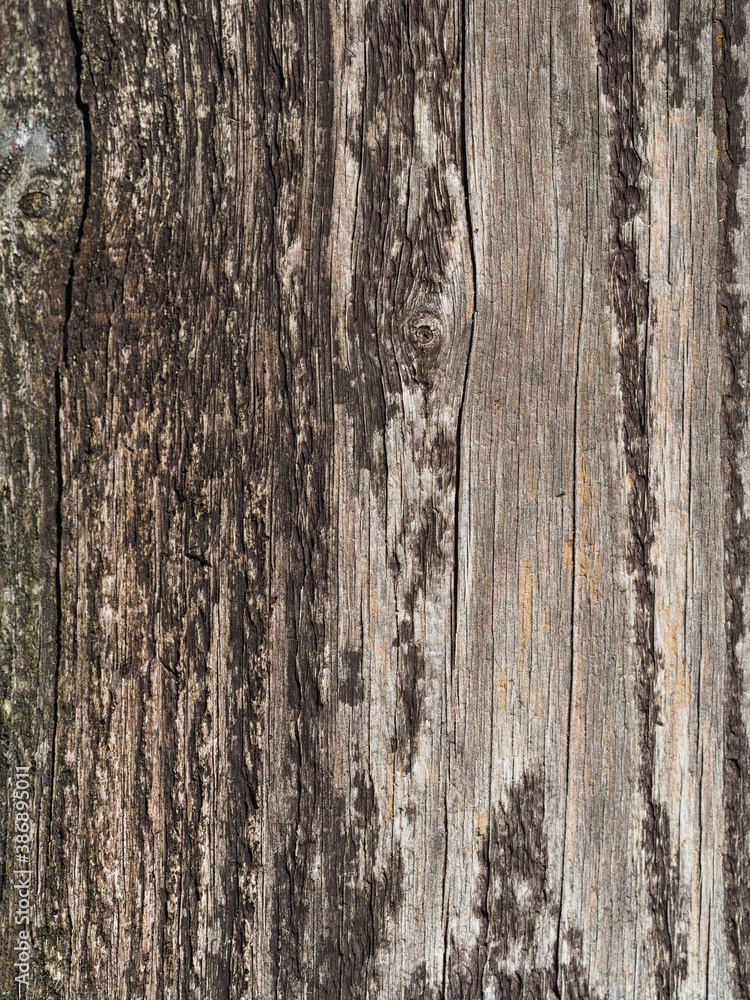Verschiedene Hintergründe und Untergründe in verschiedenen Designs wie Holz und Beton Verschiedene Hintergründe und Untergründe in verschiedenen Designs wie Holz und Beton