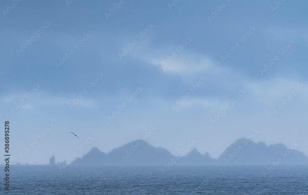 Beagle Channel, Magallanes and Chilean Antarctica Region, Chile, South America, America