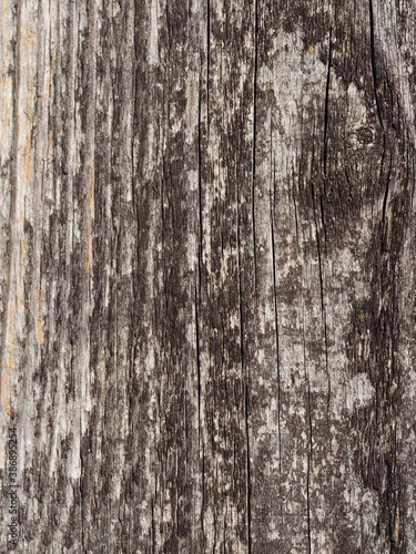Verschiedene Hintergründe und Untergründe in verschiedenen Designs wie Holz und Beton © helenii_photography