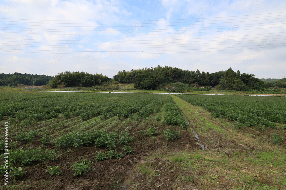 Obraz premium 田舎の風景