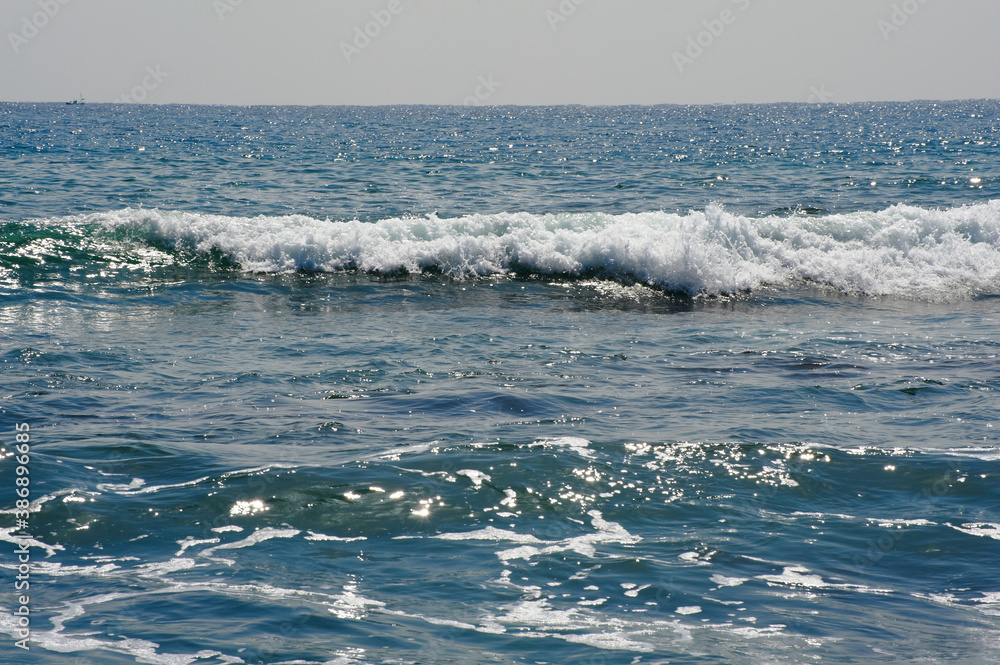 Fototapeta premium 砂浜に打ち寄せる太平洋の波頭