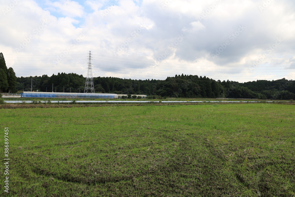 Obraz premium 田舎の風景