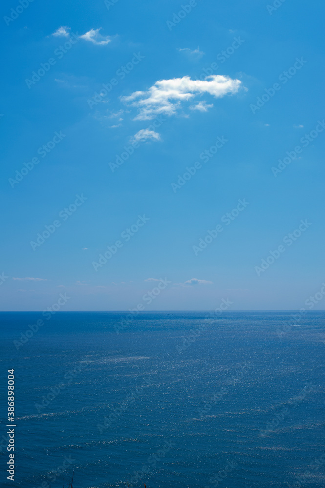 Fototapeta premium 崖の上からの太平洋と白雲浮かぶ空