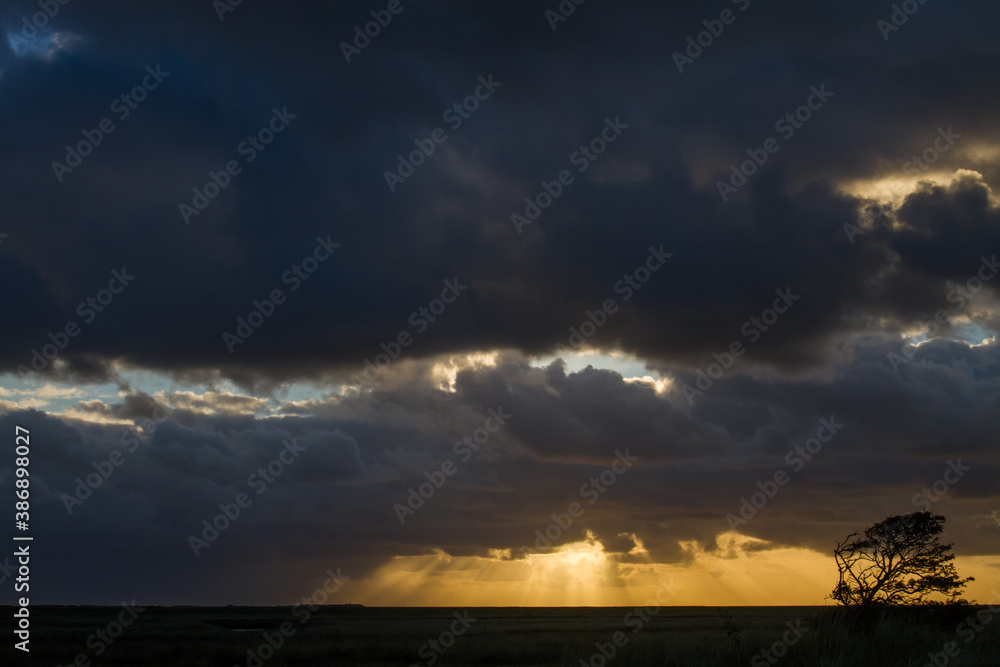 Landscape sunrise Schiermonnikoog, Netherlands