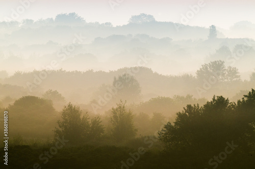 Landscape Berkheide dunes in Katwijk, Netherlands © AGAMI