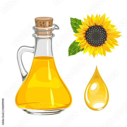 Sunflower seed oil in glass bottle and drop isolated on white. Vector illustration. Yellow flower in cartoon flat style.