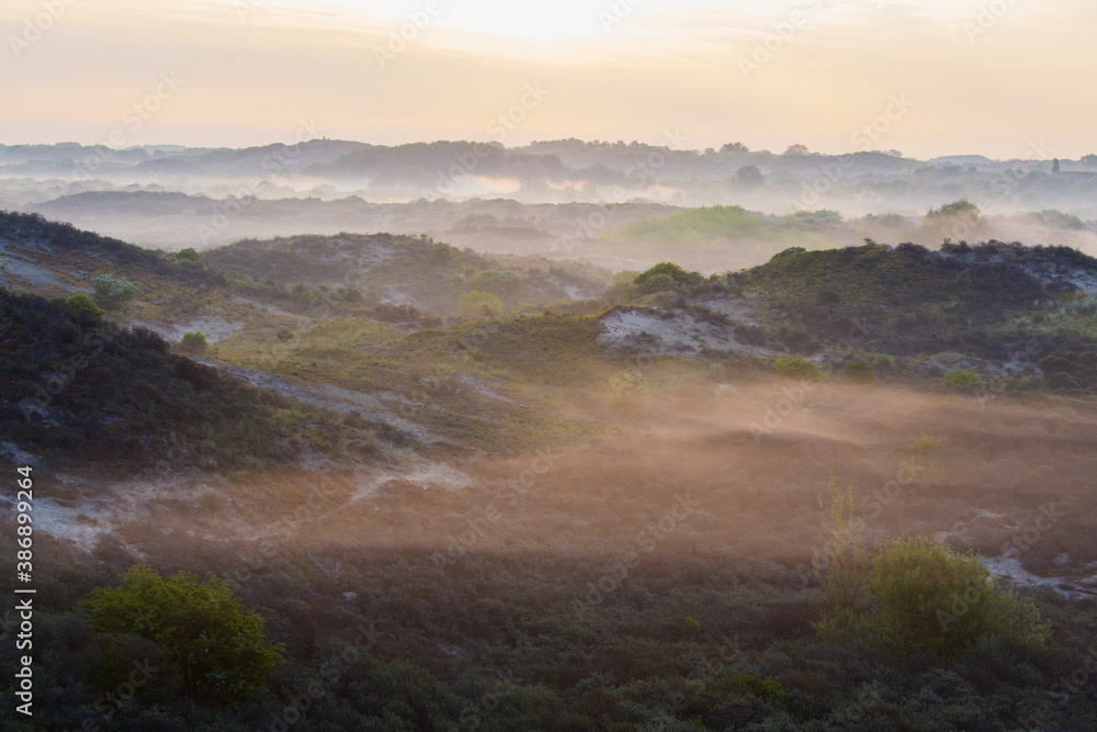 Landscape Berkheide dunes in Katwijk, Netherlands