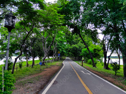 road in the forest © Nanashiz