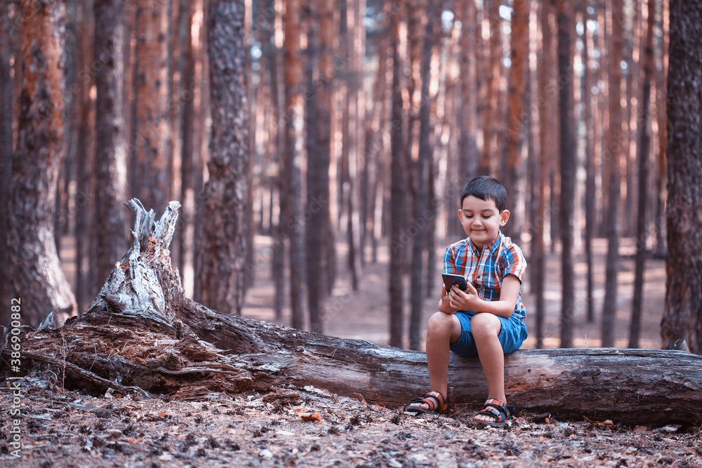 little boy in a picturesque pine forest playing with a smartphone. addiction to gadgets little boy in a picturesque pine forest playing with a smartphone. addiction to gadgets