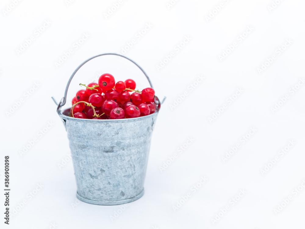 A metal basin filled with red currants A metal basin filled with red currants