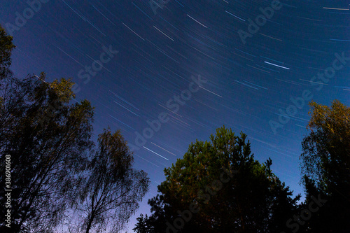Star movement in the night sky and trees