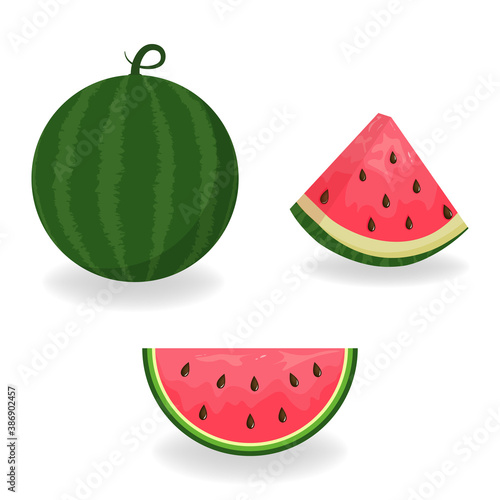 Watermelon and watermelon slices symbols. Vegetarian food. Vector drawing.