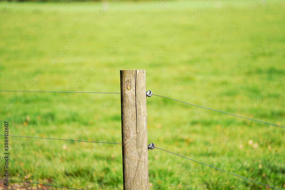 Fototapeta premium Fence wire photographed outdoors in the best of daylight