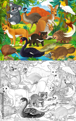 cartoon sketch scene with different australian animals like in zoo - illustration