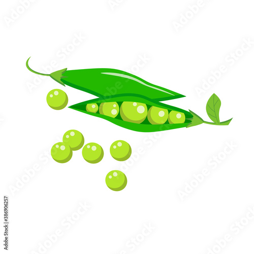 Green peas in pods. Vector illustration isolated on white background. For the design of leaflets, flyers, coupons, shops and markets.