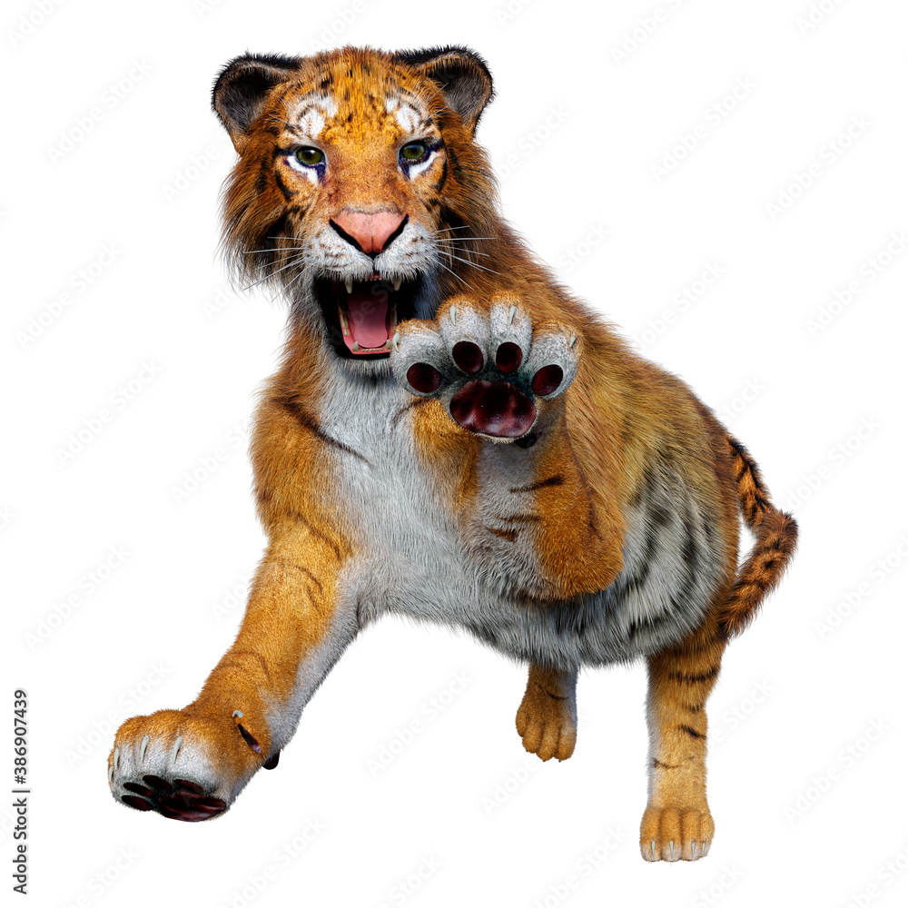 Obraz premium 3D Rendering Big Cat Tiger on White