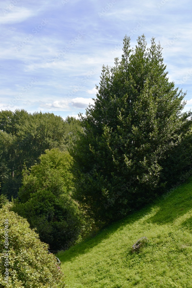 Obraz premium Hollow landscape, Warwick, England