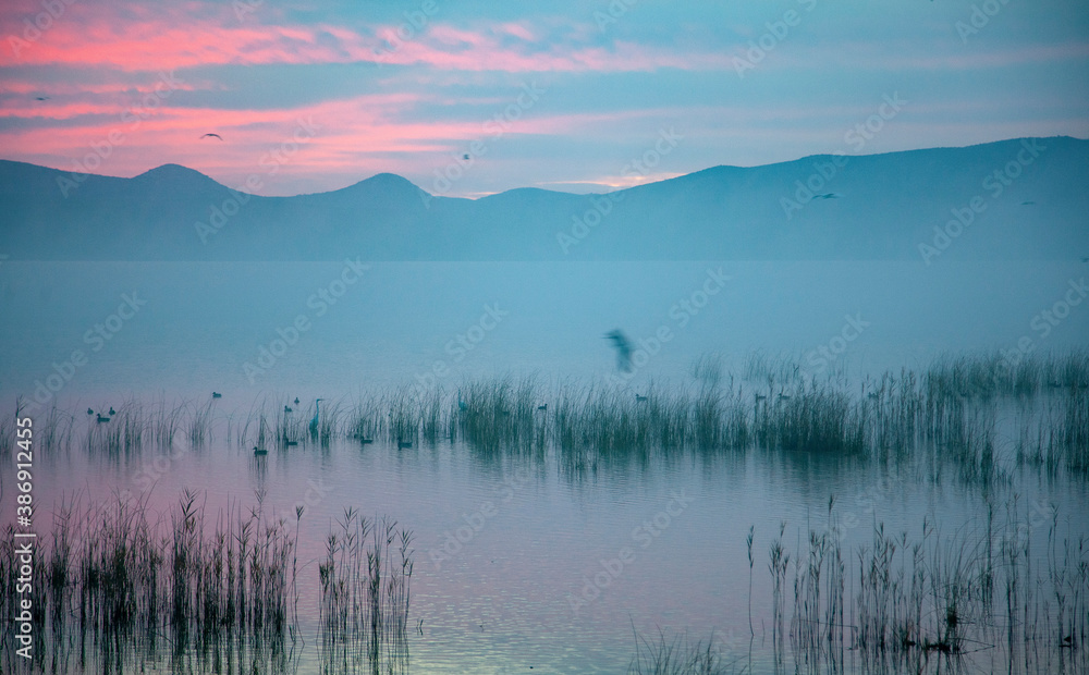 Fototapeta premium sunrise over the lake