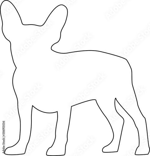 Line art dog, french bulldog illustration.