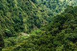Suspension bridge in the jungle, landscape stock photo