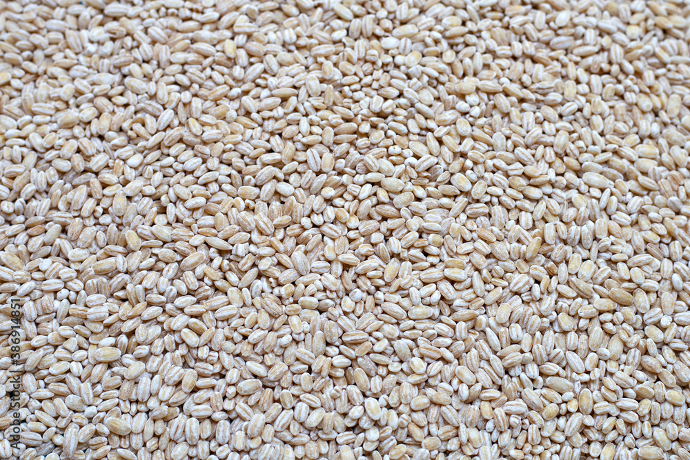 Top view of Raw peeled barley grains. Top view of Raw peeled barley grains.