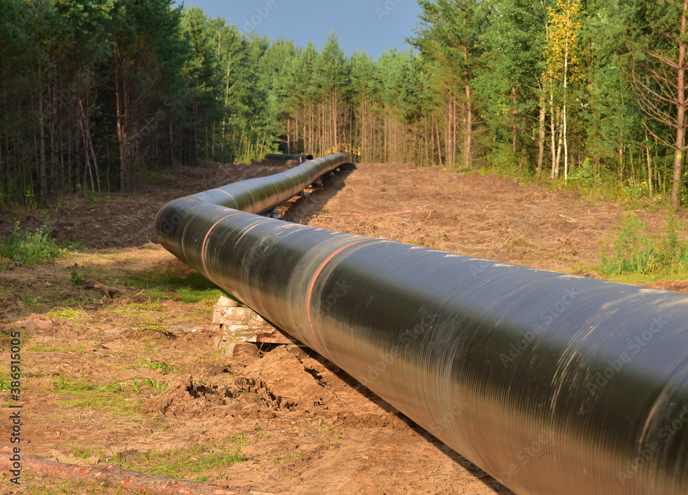Natural gas pipeline construction work in forest area. Installation of gas and crude oil pipes. Construction of gas pipes to new LNG plant. Natural gas pipeline construction work in forest area. Installation of gas and crude oil pipes. Construction of gas pipes to new LNG plant.