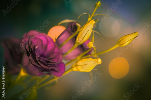 a flowers bouquet in a night romance, orange bokeh behind 