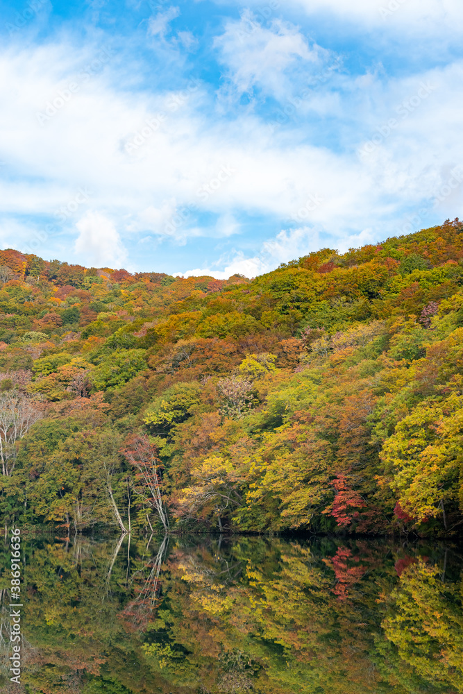 水面に反射した紅葉が美しい森の中の風景