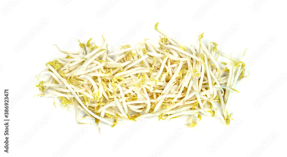 Bean Sprouts isolated on white background