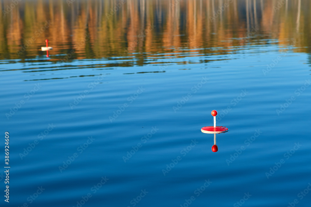 red fishing circle made of foam, floating on the water in the pond waiting for the bite of predatory fish