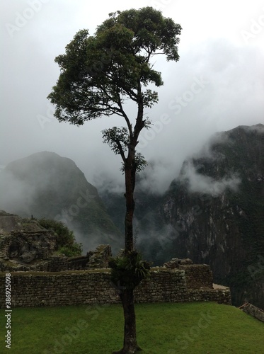 misty morning in the mountains