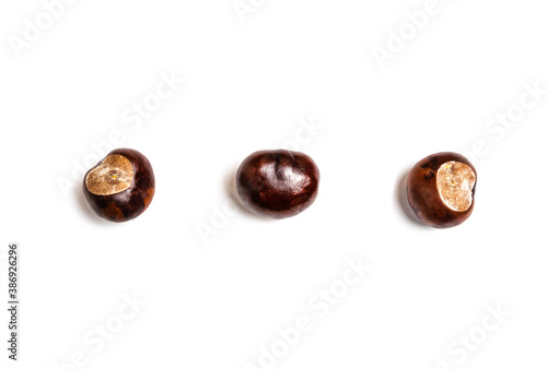 Chestnut with a dry leaf, isolated on white background with copyspace.