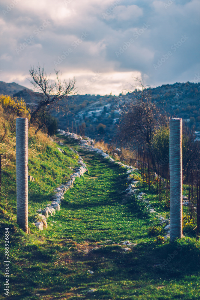 Fototapeta premium landscape with fence