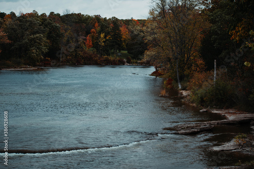river with fall trees