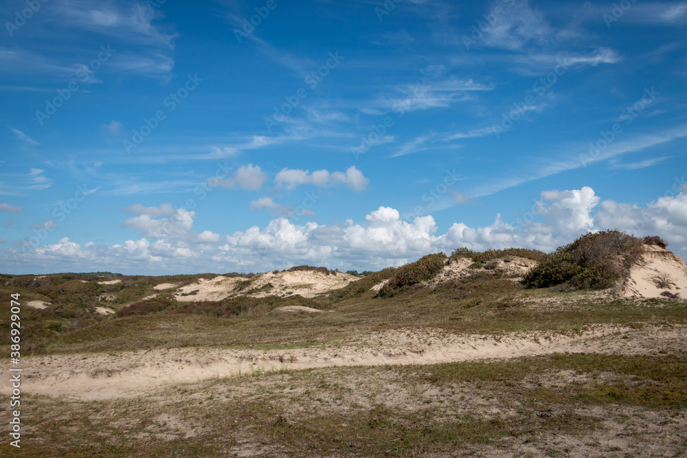 Dunes area called the 'schoorlse duinen' in the dune area of the province of North Holland, the Netherlands